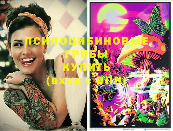 бошки Алексеевка