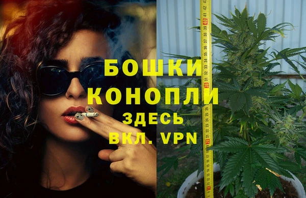spice Армянск