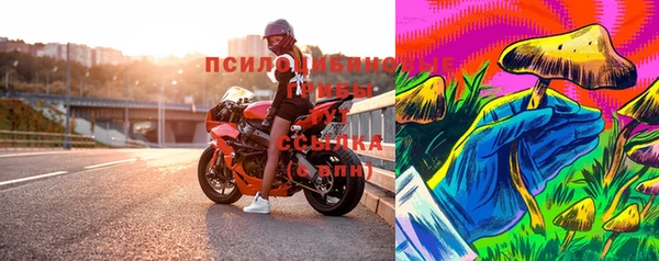 дживик Алзамай