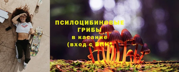 а пвп мука Аркадак