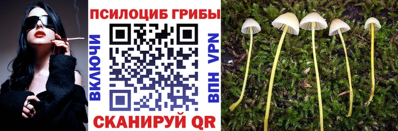 где найти mega как зайти Псилоцибиновые грибы MAGIC MUSHROOMS Игра